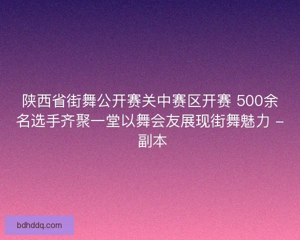 陕西省街舞公开赛关中赛区开赛 500余名选手齐聚一堂以舞会友展现街舞魅力 - 副本