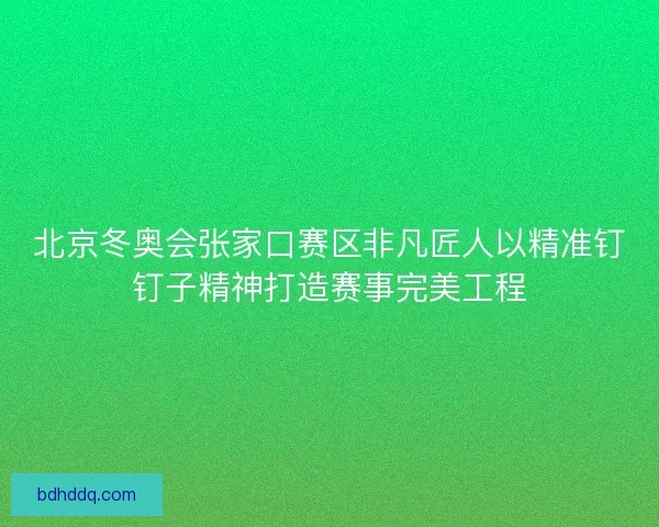 北京冬奥会张家口赛区非凡匠人以精准钉钉子精神打造赛事完美工程
