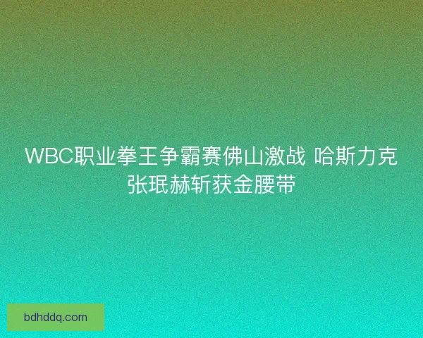 WBC职业拳王争霸赛佛山激战 哈斯力克张珉赫斩获金腰带